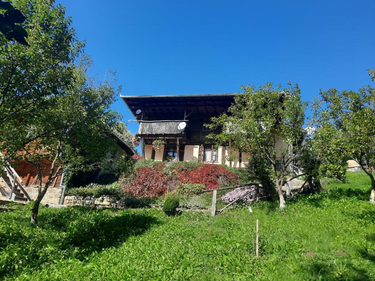 Guest House Kandaferi 2 Elena Dış mekan fotoğraf
