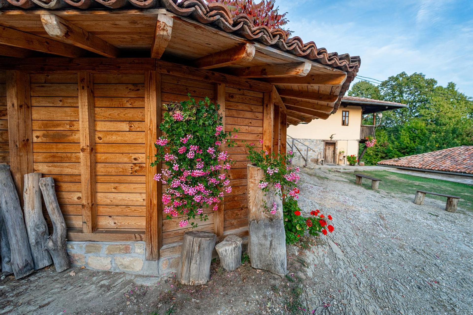 Guest House Kandaferi 2 Elena Dış mekan fotoğraf